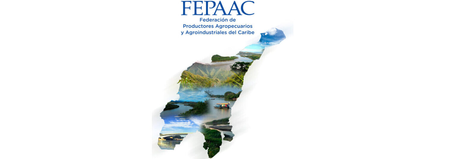 cropped-cropped-cropped-contacto-fepaac.jpg